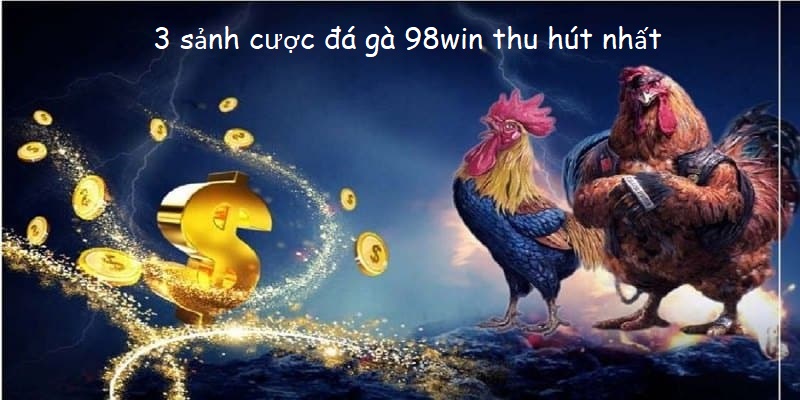 Điểm danh ba sảnh cược hot nhất của sân chơi chọi gà 98win