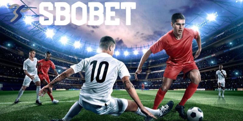 Sbobet 98win