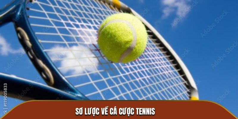 Sơ lược về bộ môn cá cược Tennis hot tại nhà cái